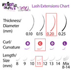 Feather Lashes - Ultra-Soft Dual-Tapered Eyelash Extensions