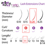 Feather Lashes - Ultra-Soft Dual-Tapered Eyelash Extensions