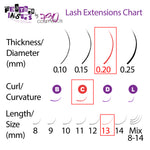 Feather Lashes - Ultra-Soft Dual-Tapered Eyelash Extensions