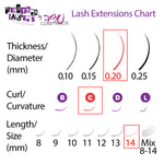 Feather Lashes - Ultra-Soft Dual-Tapered Eyelash Extensions