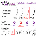 Feather Lashes - Ultra-Soft Dual-Tapered Eyelash Extensions