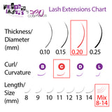 Feather Lashes - Ultra-Soft Dual-Tapered Eyelash Extensions