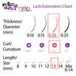 Feather Lashes - Ultra-Soft Dual-Tapered Eyelash Extensions