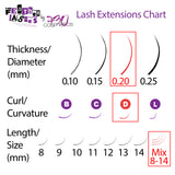 Feather Lashes - Ultra-Soft Dual-Tapered Eyelash Extensions